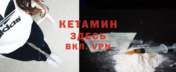 шишки Аркадак